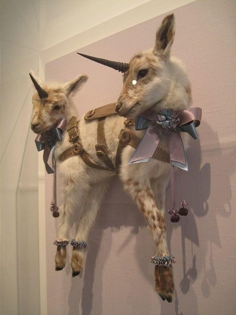 Снимка на заглавието на OnlyFans nihlllxm