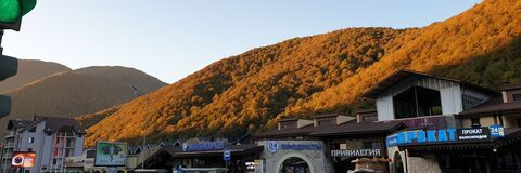 ओनलीफैंस हेडर चित्र nikolasnotcage