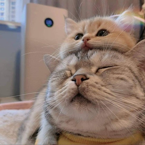 OnlyFans Titelbild not3bdy