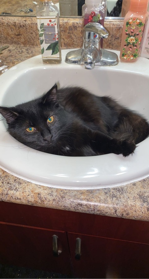 Imagen del encabezado de OnlyFans de noteasybeinwheezy