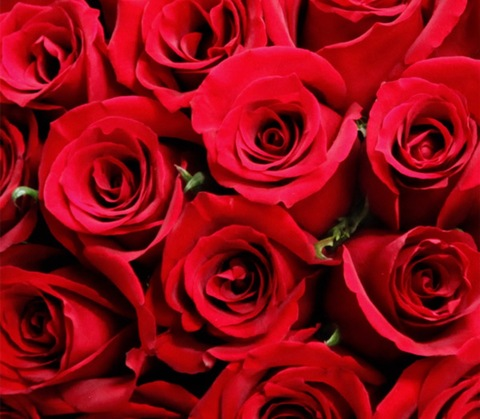 Снимка на заглавието на OnlyFans nouflou