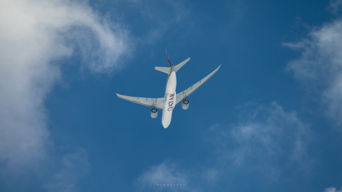 صورة رأس OnlyFans ntwpp