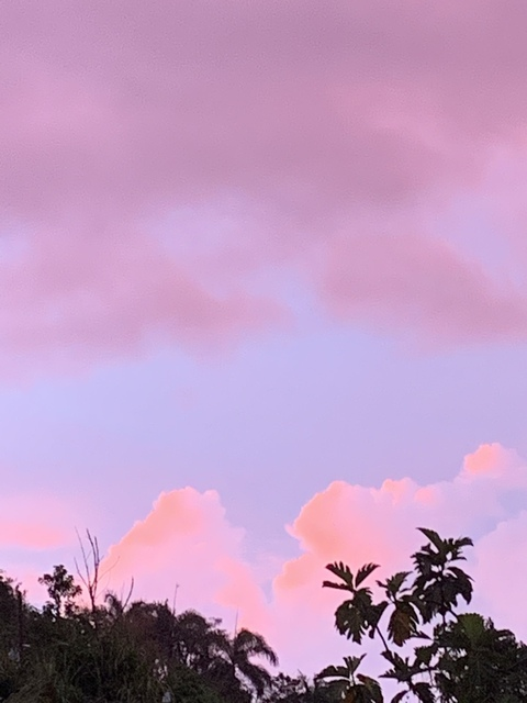 ओनलीफैंस हेडर चित्र officialmamichulaxoxo