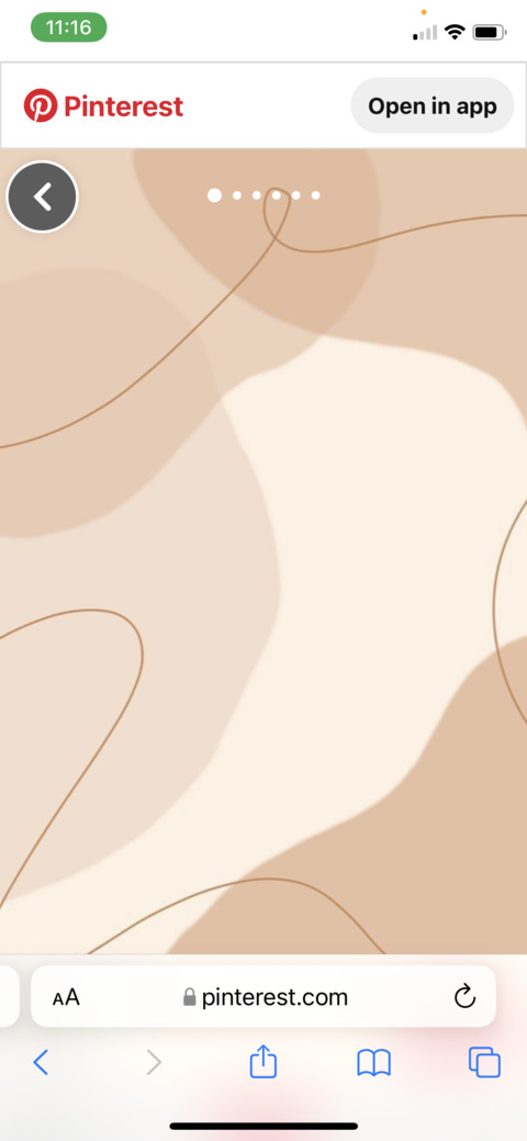 OnlyFans Titelbild ogirlace