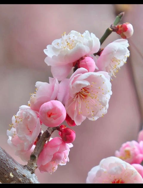 Obraz nagłówkowy OnlyFans #nazwa_użytkownika#