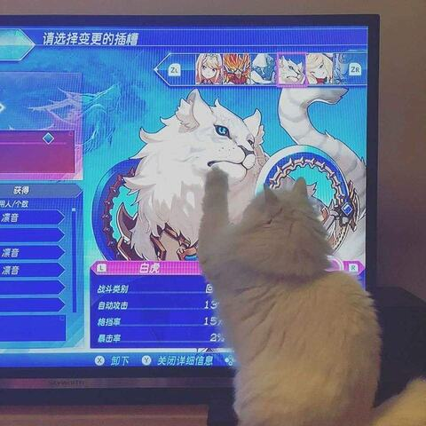 Снимка на заглавието на OnlyFans omorimeow