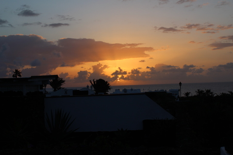 onlyfansgirltaylorparis의 OnlyFans 해더 사진