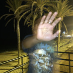 ओनलीफ़ैंस प्रोफ़ाइल चित्र onlykingsmgmt