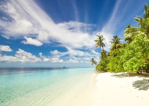 pabloescobone의 OnlyFans 해더 사진