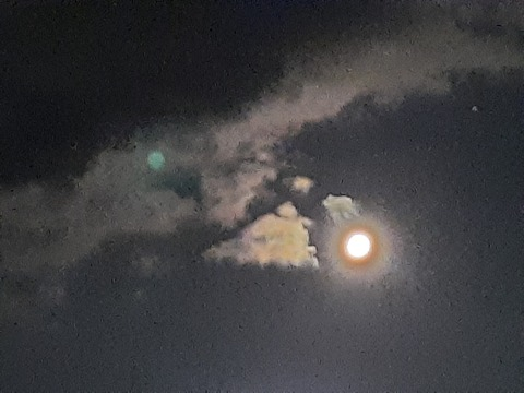 OnlyFans header picture paegandeathsong