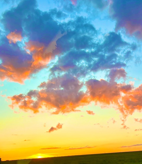 ओनलीफैंस हेडर चित्र paigesteelexxx