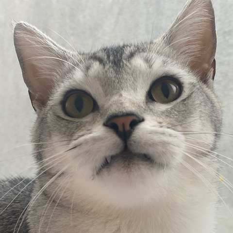 Gambar header OnlyFans pariswycherley