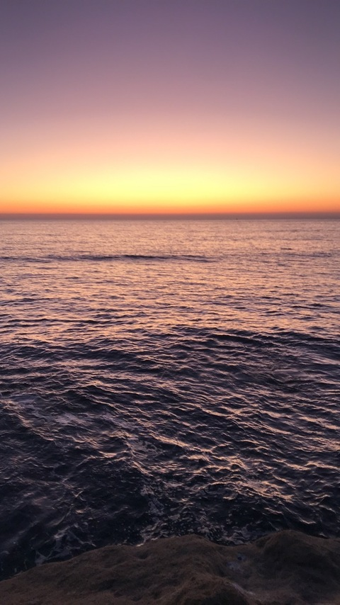 Image d'en-tête OnlyFans patdogg12