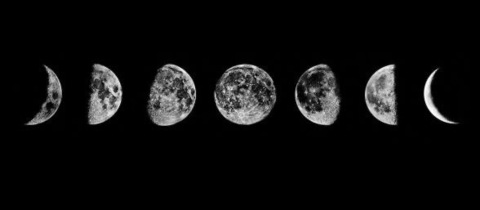 ओनलीफैंस हेडर चित्र paulig