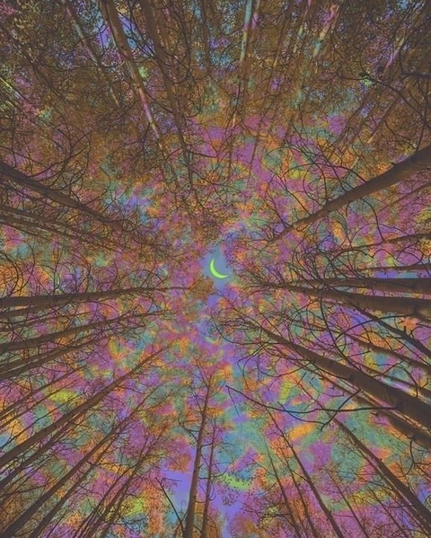 ओनलीफैंस हेडर चित्र pcassshhh