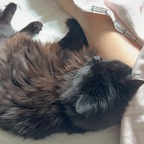 Foto do perfil do OnlyFans de peachbloss