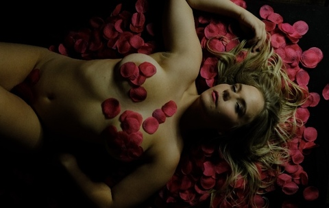 ओनलीफैंस हेडर चित्र percysires