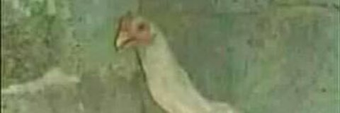 OnlyFans header picture pereir0n