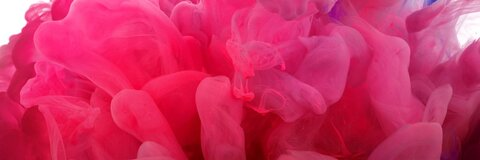 pippalee의 OnlyFans 해더 사진