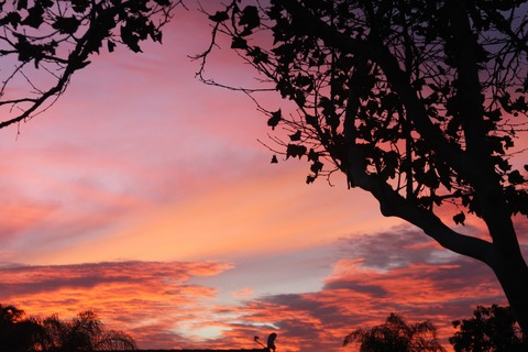 Obraz nagłówkowy OnlyFans #nazwa_użytkownika#