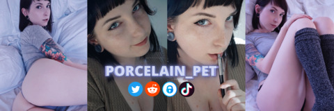 Immagine di intestazione OnlyFans porcelain_pet