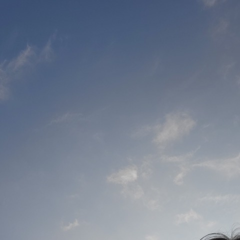 Изображение шапки OnlyFans purpleamelia