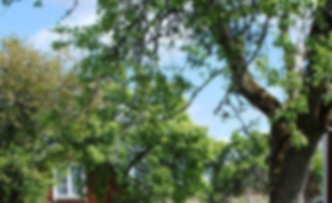 ओनलीफैंस हेडर चित्र qtee_foxx