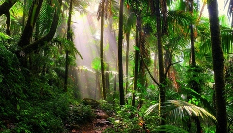 Obraz nagłówkowy OnlyFans #nazwa_użytkownika#