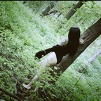 Profielfoto van OnlyFans ravenreigns