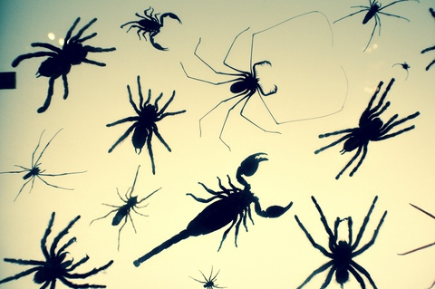 rebelrider91의 OnlyFans 해더 사진