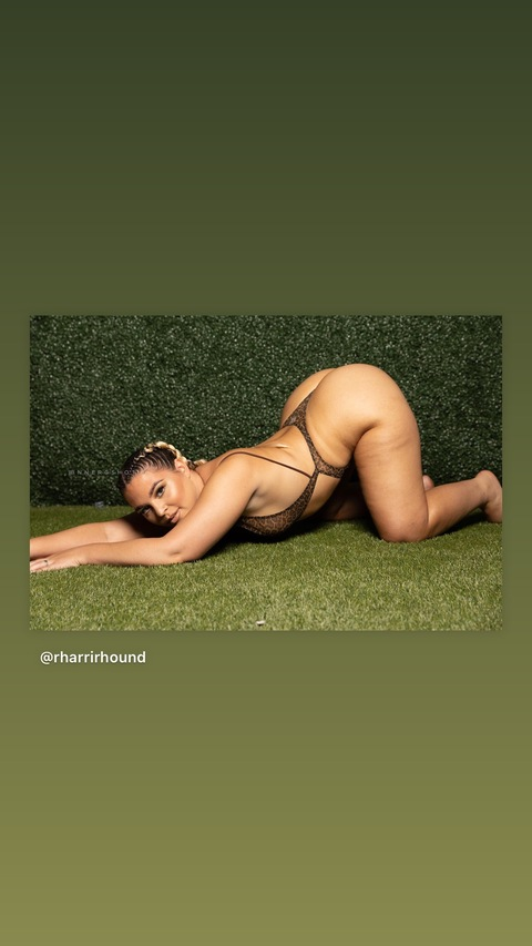 Imagen del encabezado de OnlyFans de rharrirhound