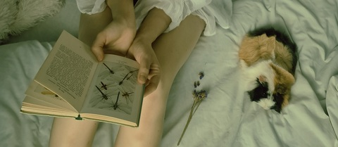 Image d'en-tête OnlyFans rinaalyys