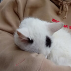 Profielfoto van OnlyFans rinlin