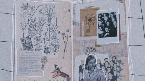 AlleenFans hoofdafbeelding rinlin