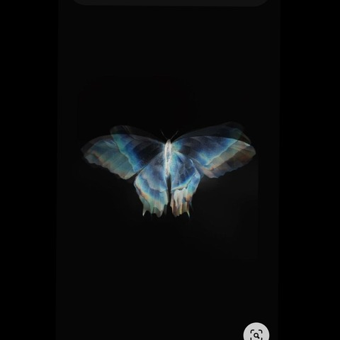 romandenisss의 OnlyFans 해더 사진