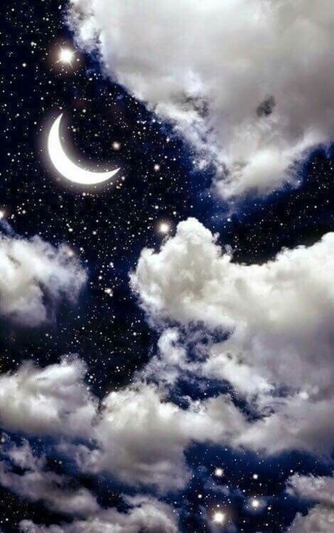 ओनलीफैंस हेडर चित्र roxyfox