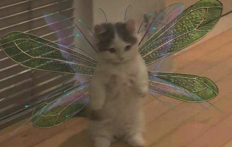 Изображение шапки OnlyFans saagaurora