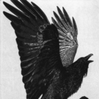 Профильная фотография OnlyFans sadlovestory