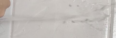 Снимка на заглавието на OnlyFans sakurai_mafuyu