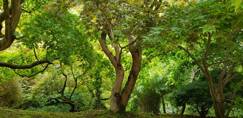 Obraz nagłówkowy OnlyFans #nazwa_użytkownika#