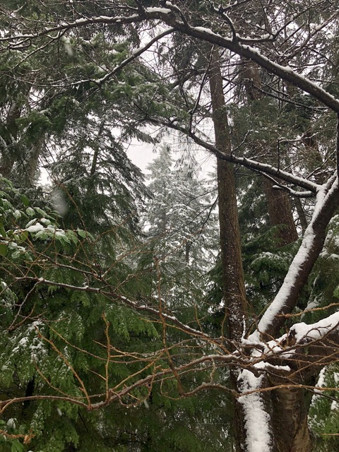 Gambar header OnlyFans sandpaperscissors