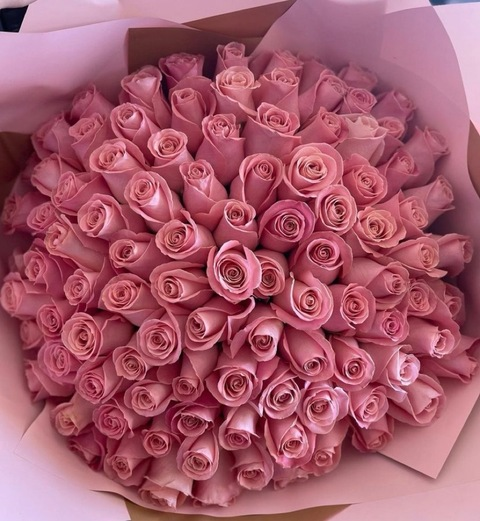 OnlyFans header picture sanxanny