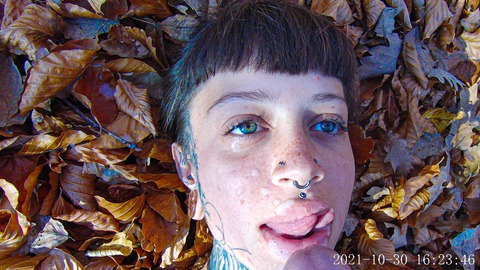 OnlyFans Titelbild sarahs.mercier