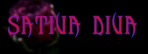 Imagen del encabezado de OnlyFans de sativathediva69