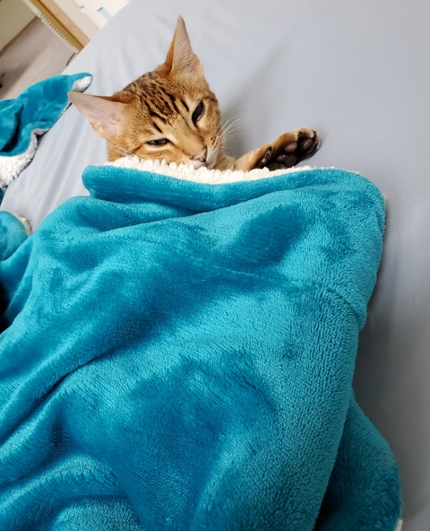 secretlumi의 OnlyFans 해더 사진