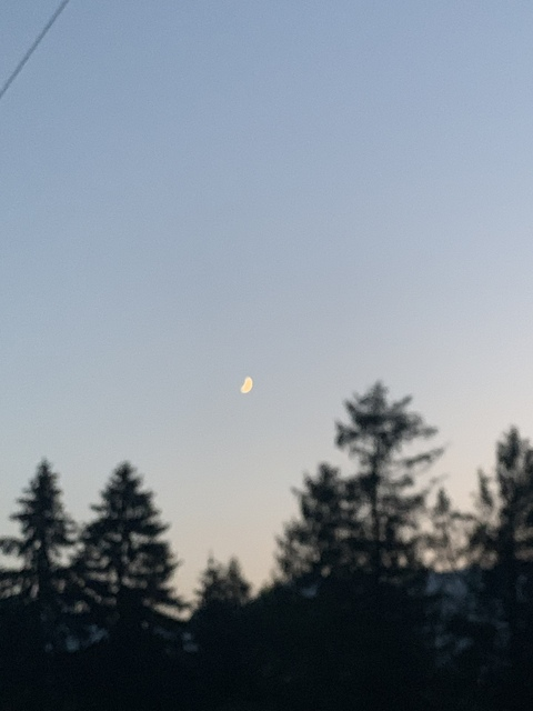 Imagen del encabezado de OnlyFans de segodnyai