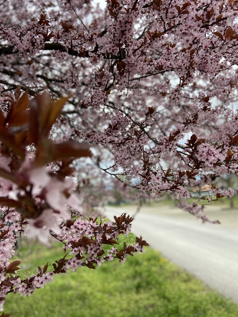 ओनलीफैंस हेडर चित्र sexymum1