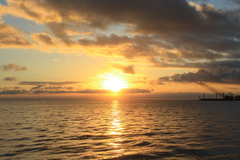 sexysophxx의 OnlyFans 해더 사진