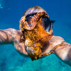 Imagen de perfil de OnlyFans de shangerdanger