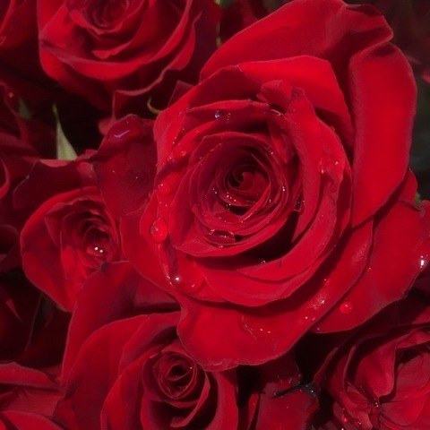 AlleenFans hoofdafbeelding shesatlantis